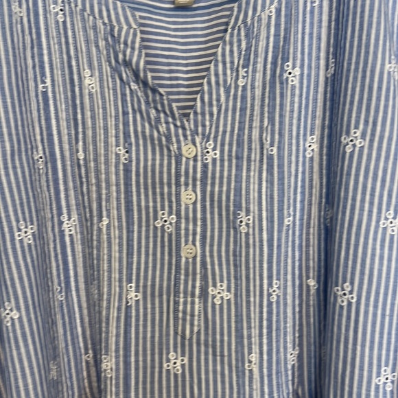 Woman Within Blue/WhiteTunic Blouse Eyelet Embroidered V-neck Pleated NWOT - Picture 4 of 9